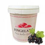 Pasta o smaku czarnej porzeczki (1,2 kg) - Joypaste - Joygelato