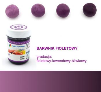 Barwnik spoywczy w elu, fiolet (35 g) - Food Colours