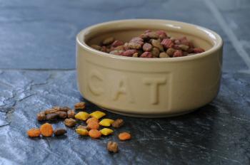 Miska dla kota (rednica 13 cm)  - PetWare Cane - Mason Cash 