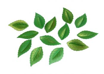 Dekoracje waflowe listki zielone pozacane (30 szt.) - Rose Decor