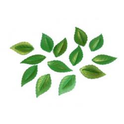 Dekoracje waflowe listki zielone pozacane (30 szt.) - ...