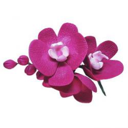 Kwiat cukrowy gazka orchidei purpurowej - Slado - NZ