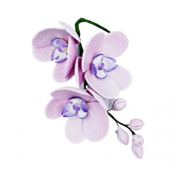 Kwiat cukrowy gazka orchidei liliowej - Slado - NZ