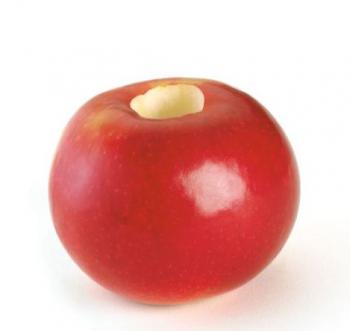 Drylownica do jabłek - Cuisipro