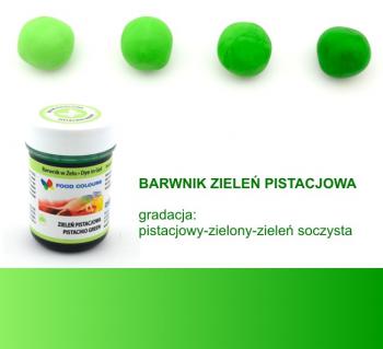Barwnik spoywczy w elu, ziele pistacjowa (35 g) - Food Colours