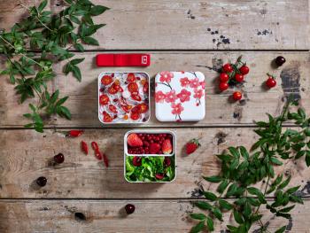 Lunchbox Bento Graphic Blossom - Square - Monbento