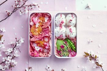 Lunchbox Bento Graphic Blossom - Original - Monbento