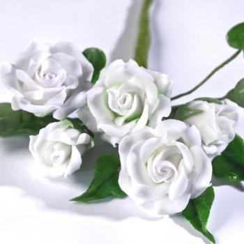 Masa do robienia kwiatów Gum Paste (250 g) biała - Renshaw