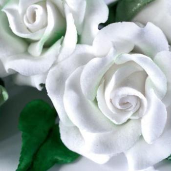 Masa do robienia kwiatów Gum Paste (250 g) biała - Renshaw