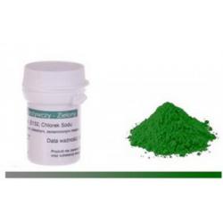 Barwnik w proszku zielony (5 g) - Food Colours