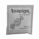 Herbata Peppermint Leaves (1 saszetka) - Teapigs