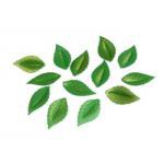 Dekoracje waflowe listki zielone pozłacane (30 szt.) - ...