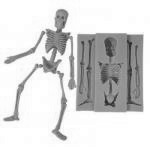 Forma silikonowa 3D szkielet/kociotrup - CL